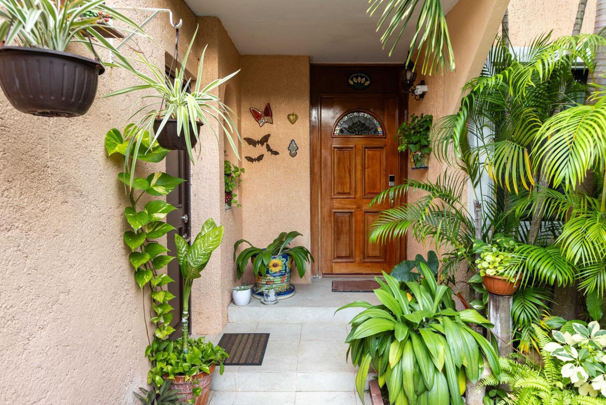 Magnifica Villa Palmeras Pok Ta Pok Zona Hotelera קנקון מראה חיצוני תמונה
