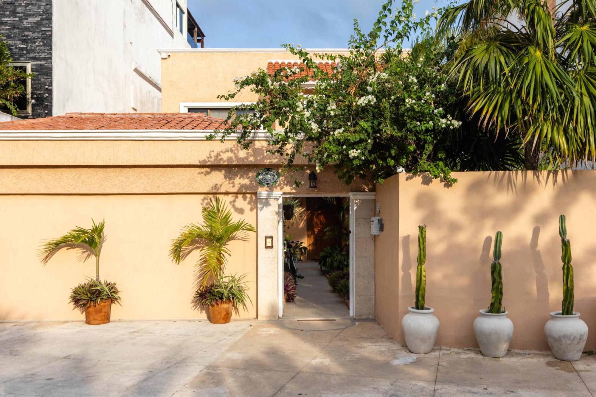 Magnifica Villa Palmeras Pok Ta Pok Zona Hotelera קנקון מראה חיצוני תמונה